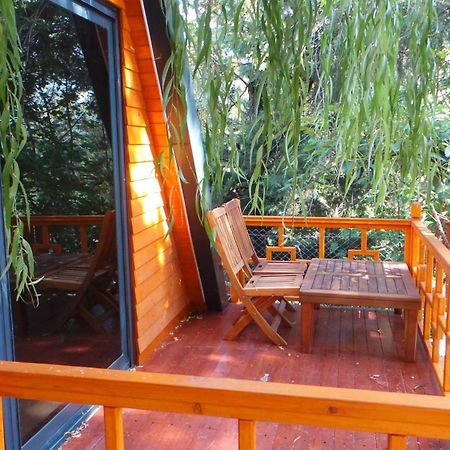 Trinitys Forest Bungalows Kemer Luaran gambar