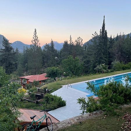 Trinitys Forest Bungalows Kemer Luaran gambar