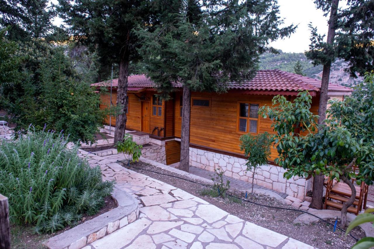 Trinitys Forest Bungalows Kemer Luaran gambar