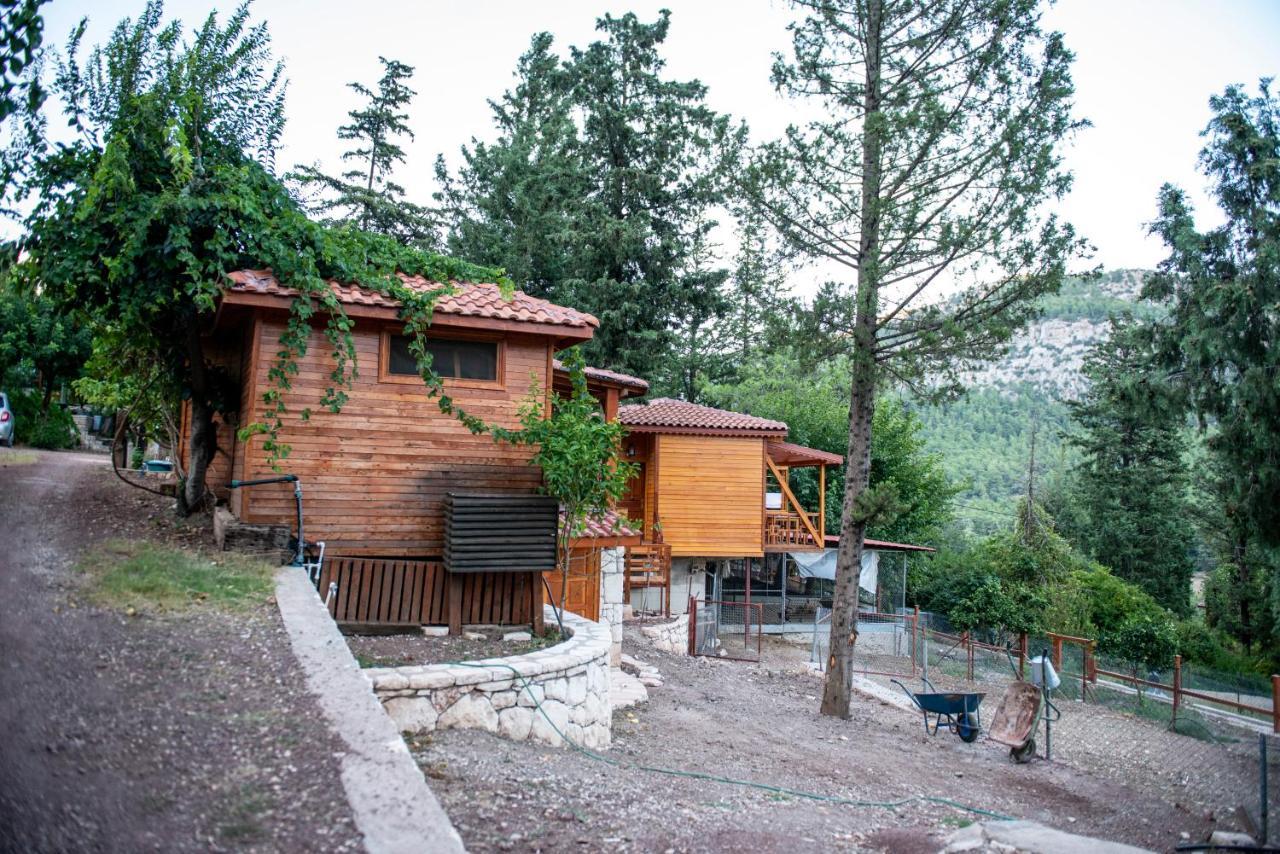 Trinitys Forest Bungalows Kemer Luaran gambar