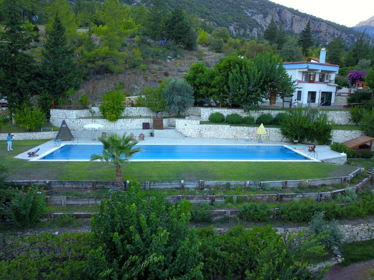 Trinitys Forest Bungalows Kemer Luaran gambar