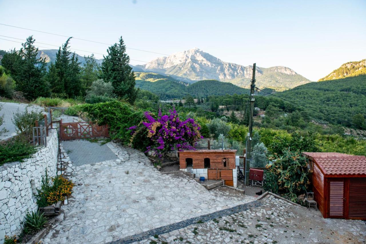Trinitys Forest Bungalows Kemer Luaran gambar