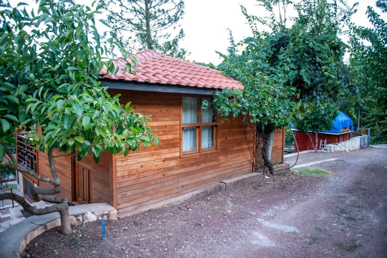 Trinitys Forest Bungalows Kemer Luaran gambar