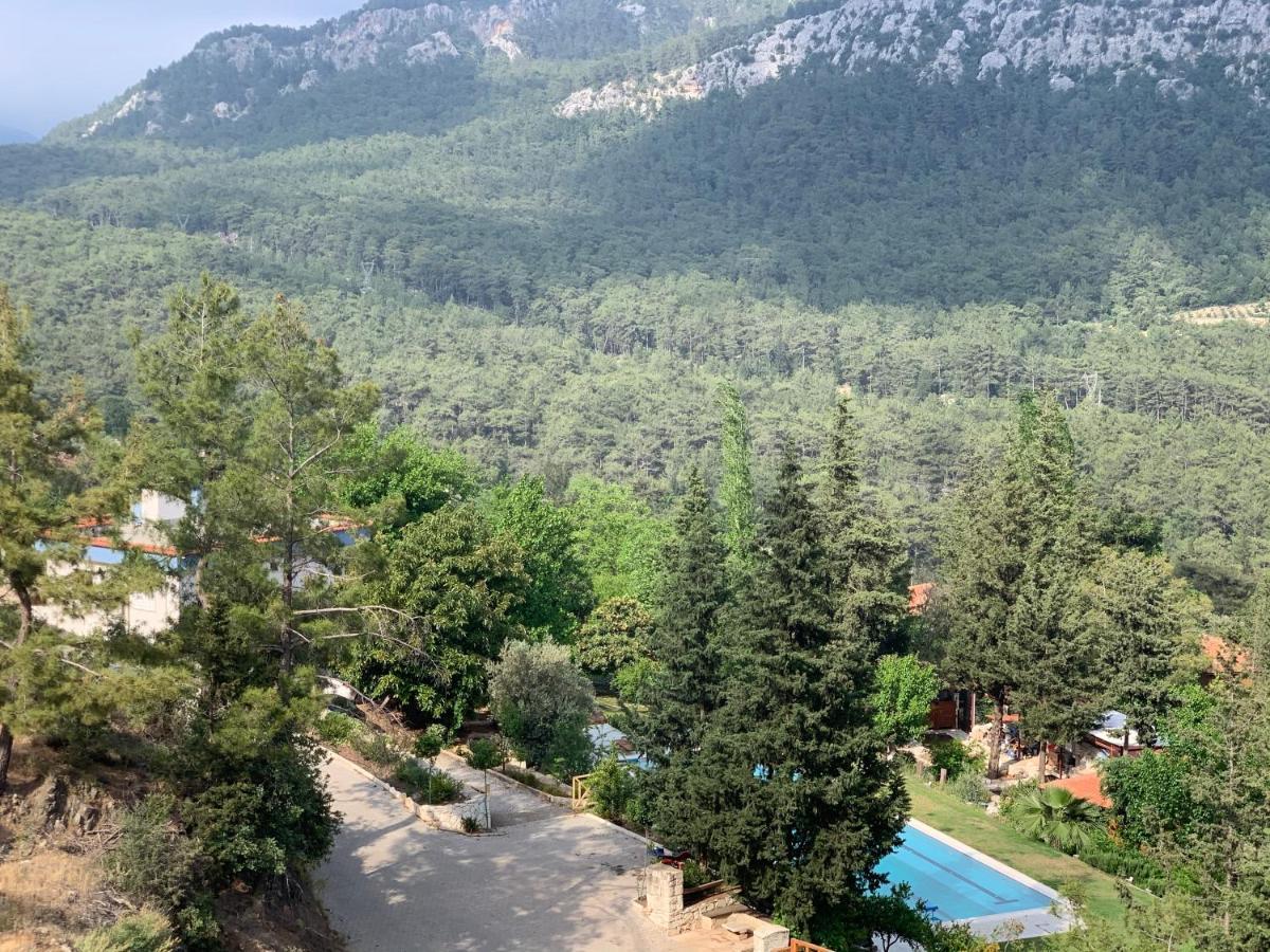Trinitys Forest Bungalows Kemer Luaran gambar