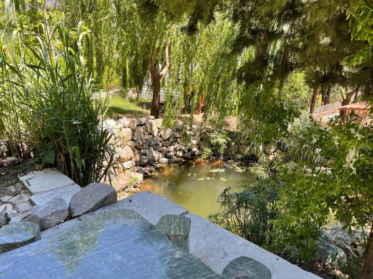 Trinitys Forest Bungalows Kemer Luaran gambar