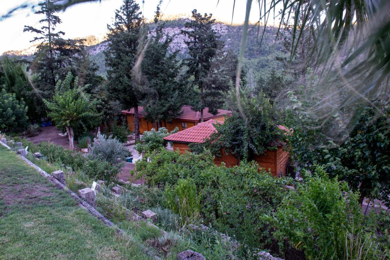 Trinitys Forest Bungalows Kemer Luaran gambar