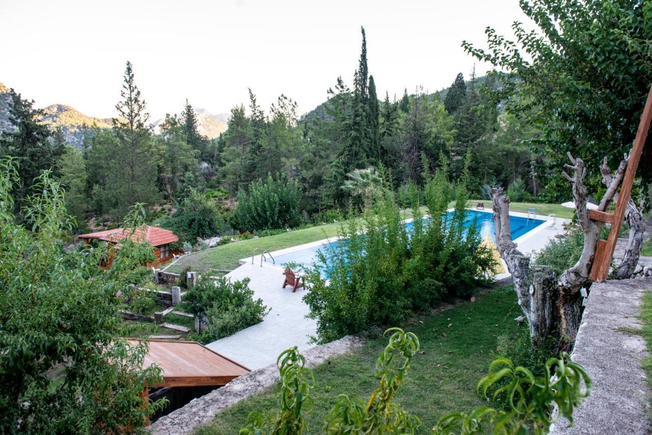 Trinitys Forest Bungalows Kemer Luaran gambar