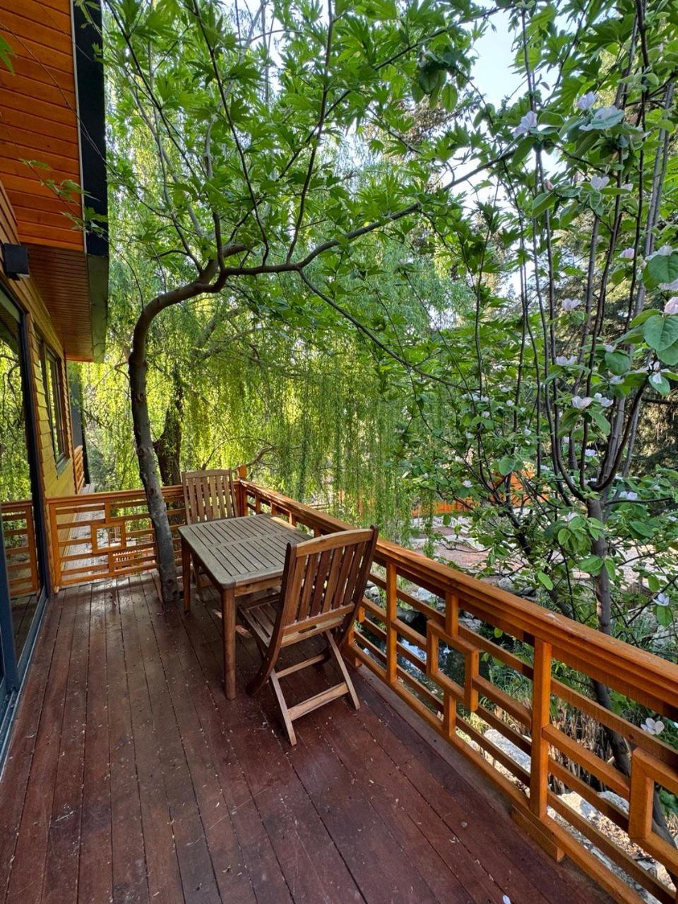 Trinitys Forest Bungalows Kemer Luaran gambar