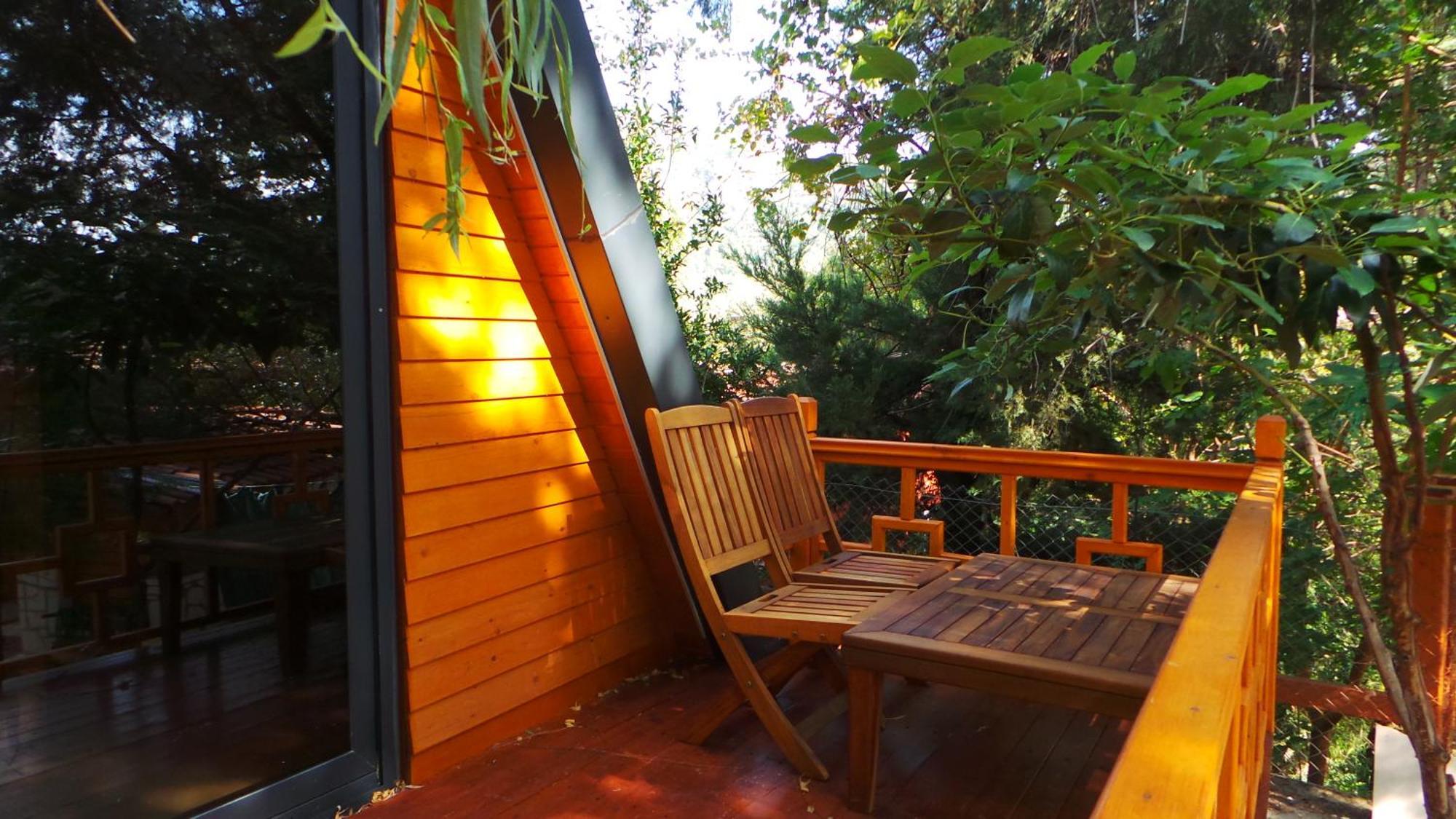 Trinitys Forest Bungalows Kemer Luaran gambar