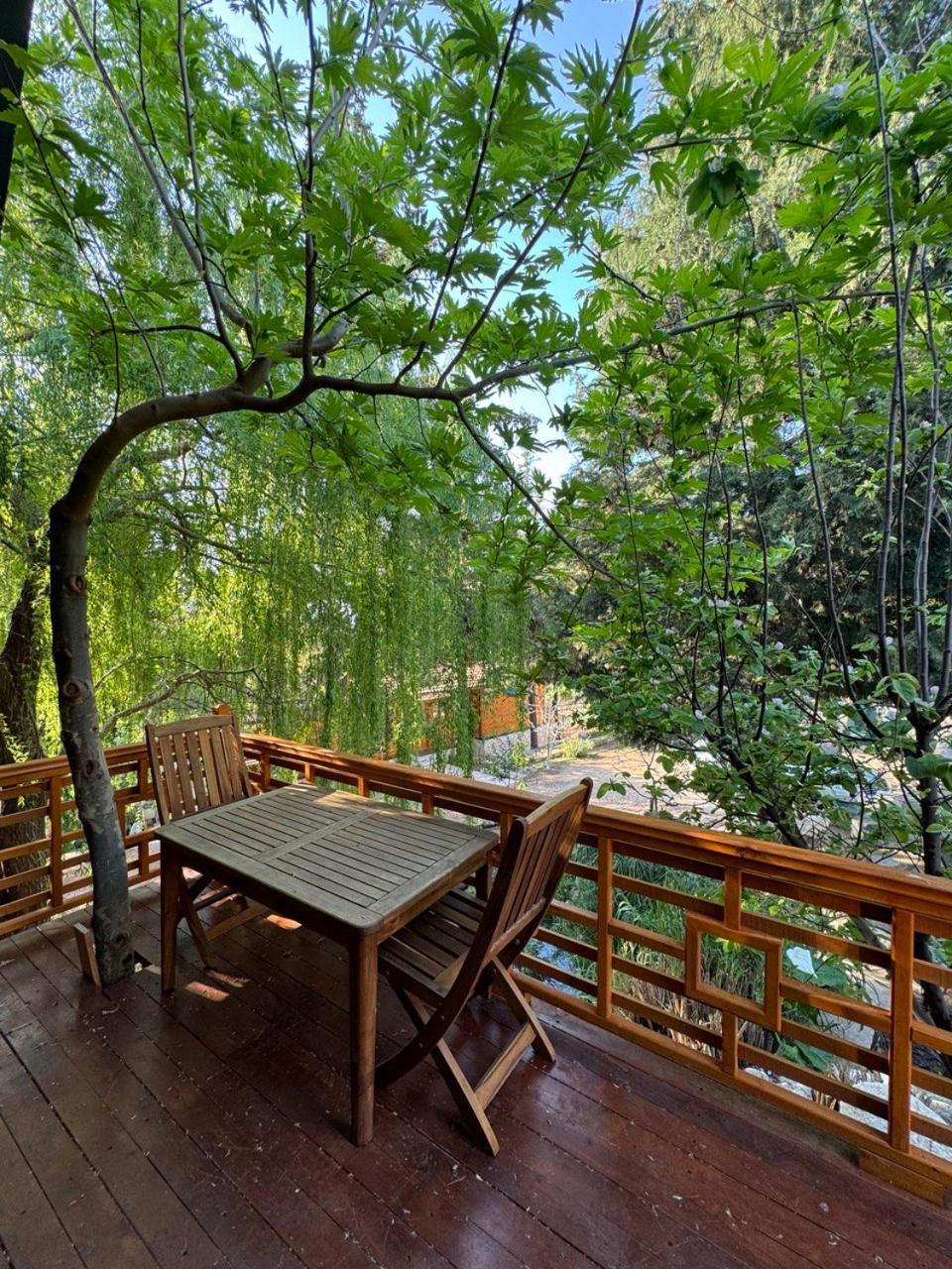 Trinitys Forest Bungalows Kemer Luaran gambar